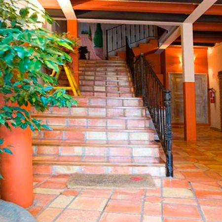 Apartamentos Senorio De Haro 3000 מראה חיצוני תמונה